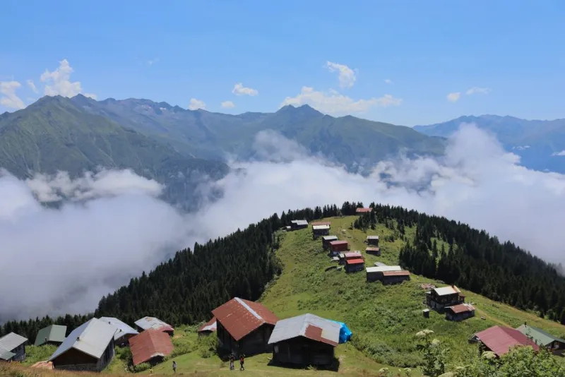 Pokut Yaylası: Karadeniz'in Sisli ve Huzurlu Doğası