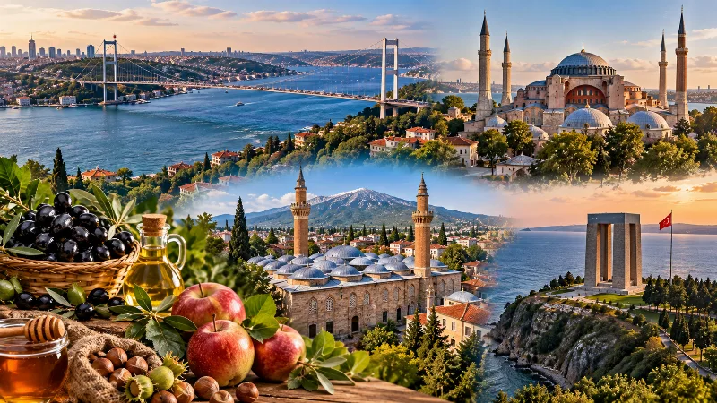 Marmara Bölgesi