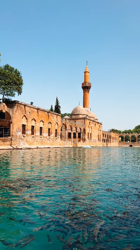 Balıklıgöl