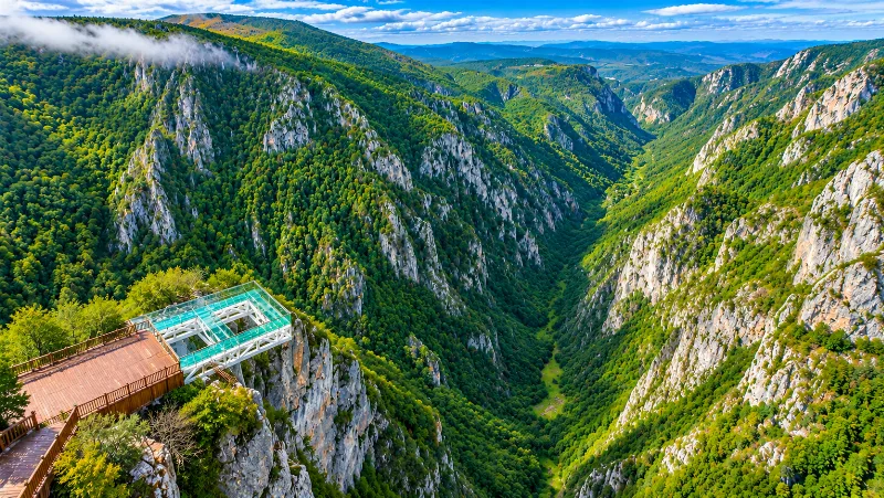 Küre Dağları Milli Parkı