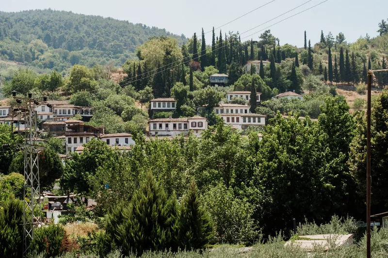 Şirince: İzmir'in Tarihi Rum Köyü ve Şarap Geleneği